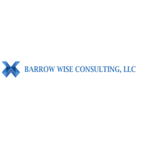 Barrow Wise Consulting
